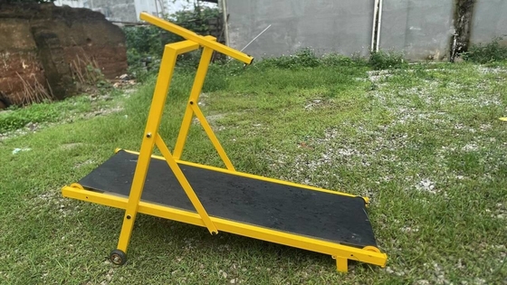 Quantités de chargement 20 GP Chargement 70 ensembles de tapis roulant pour chiens avec fonction de course réglable