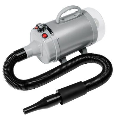 Haute puissance 2100W aspiration à souffle à double moteur sèche-cheveux pour animaux de compagnie pour chiens OEM ODM acceptable