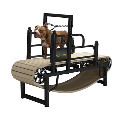 Appareil de course pour chien sans moteur pour l'exercice durable