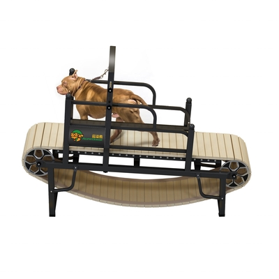 Appareil de course pour chien sans moteur pour l'exercice durable