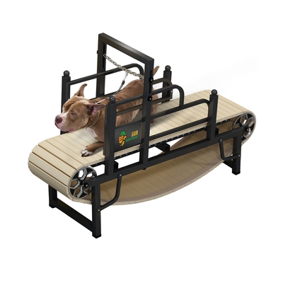 Appareil de course pour chien sans moteur pour l'exercice durable