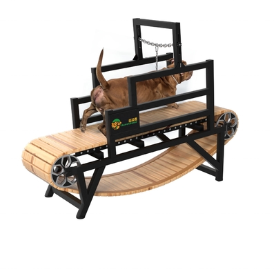 Appareil de course pour chien sans moteur pour l'exercice durable