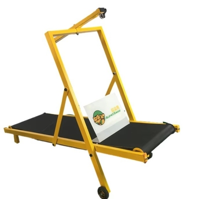 20 GP chargement 70 ensembles réglable machine à courir pour chiens de compagnie tapis de course en fer pour l'entraînement des chiens