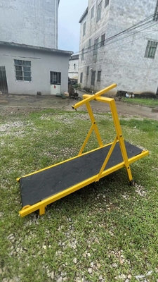 20 GP chargement 70 ensembles réglable machine à courir pour chiens de compagnie tapis de course en fer pour l'entraînement des chiens