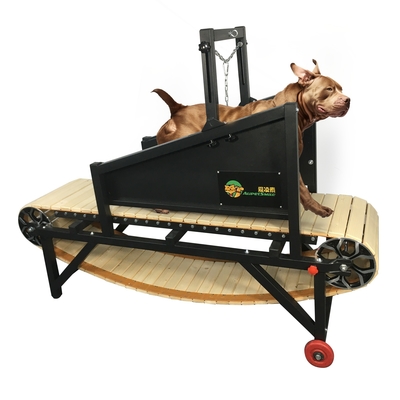 Maximiser les performances de votre chien