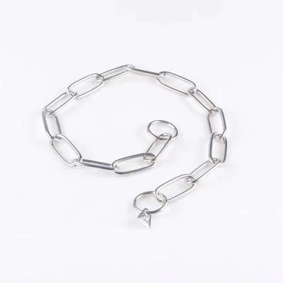 Collier de chien en acier inoxydable avec corde métallique et chaîne anti-mage