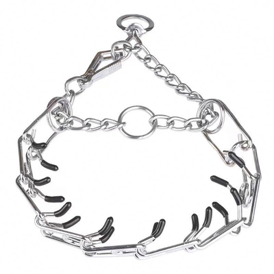 Collier d'entraînement pour chien en métal amovible avec entraînement personnalisé