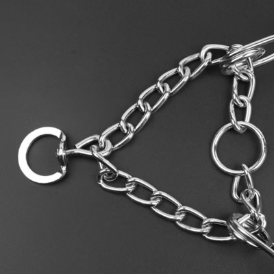 Collier d'entraînement pour chien en métal amovible avec entraînement personnalisé
