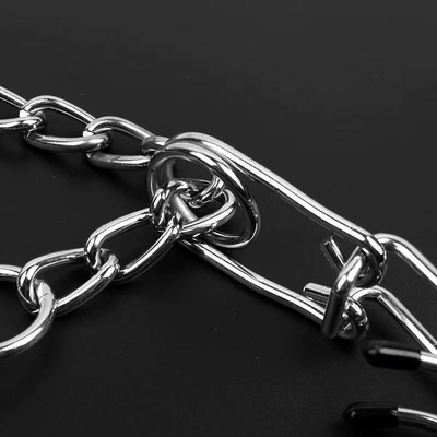 Collier d'entraînement pour chien en métal amovible avec entraînement personnalisé