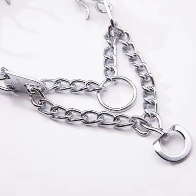Collier de chien en acier inoxydable avec taille et matériau personnalisés