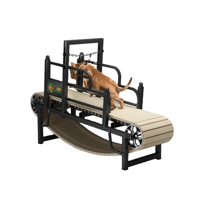 Couche en poudre de finition pour chiens pour animaux de compagnie
