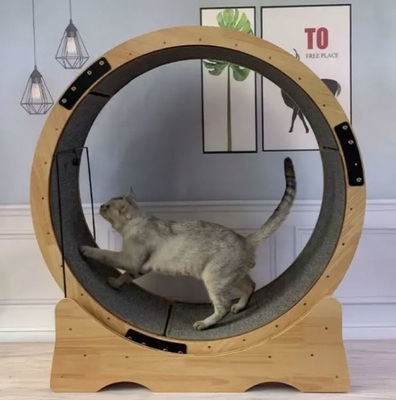 Personnalisé 0,30 mm épaisseur Cat Scratch Board pour les petits animaux USA marché amusant tapis de course
