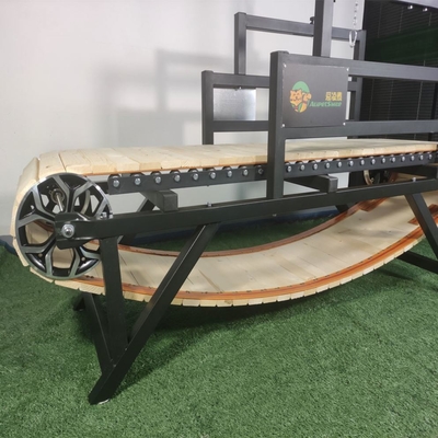 Machine de course pour animaux de compagnie IRON Tapis de course pour entraînement et course de gros chiens