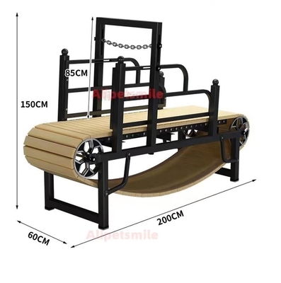 Électrophoresis tapis roulant pour chiens pour petits animaux Équipement d'exercice Pit Bull durable