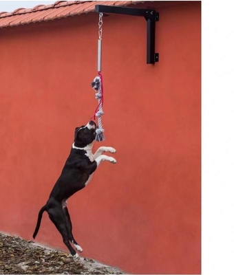 Jouet à corde durable et stimulant pour chien Pitbull