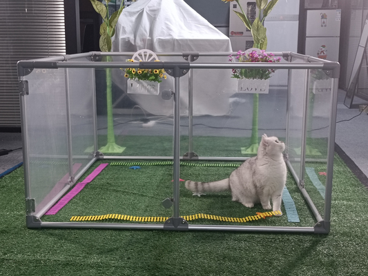Rameau de chien à motifs personnalisés Portable Playpen pliable pour animaux de compagnie avec panneaux acryliques amovibles