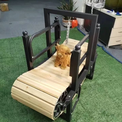 Tapis de course pour animaux de compagnie de taille personnalisée pour petits chiens Produits de comportement durable