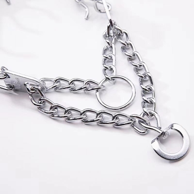 Collier d'entraînement amovible pour animaux de compagnie