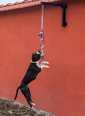 Poteaux à ressorts pour chiens à haute charge pour l'entraînement des navires à destination du port de Shanghai ou de Nanjing