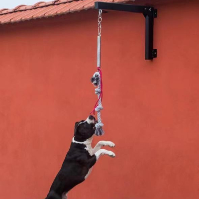 Équipement d'exercice solide et durable pour animaux de compagnie