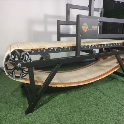 Faites bouger votre chien avec notre tapis roulant en acier inoxydable pour animaux de compagnie