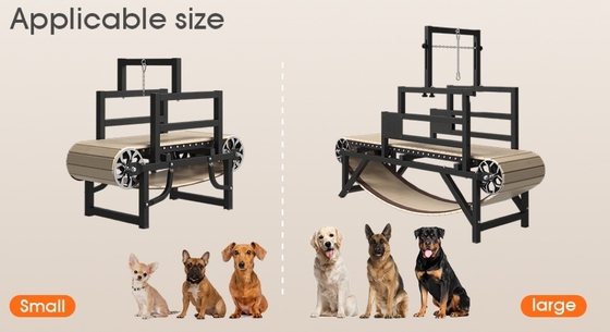 Faites bouger votre chien avec notre tapis roulant en acier inoxydable pour animaux de compagnie