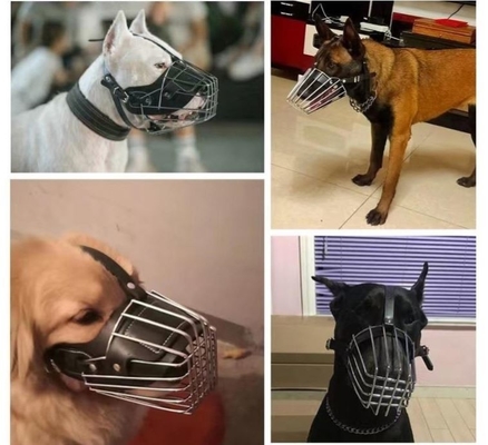 Entraînement des animaux de compagnie Essentiel Métal solide et cuir Musée de chien avec décoration colorée