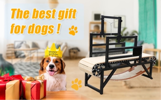 Alipetsmile Version 2.0 Tapis de course pour chiens de bois qui améliore la condition physique des chiens