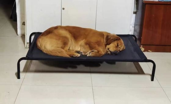 Lit portable en acier inoxydable XL pour animaux de compagnie avec un design élevé et une représentation animale