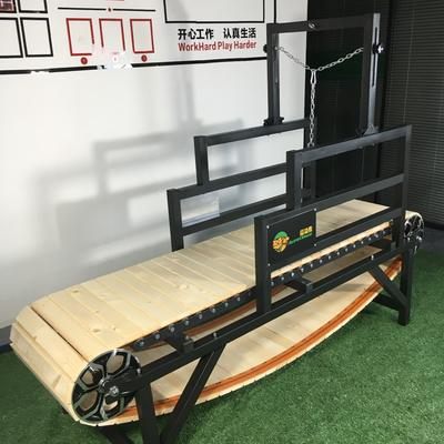 Tapis roulant pour chien d'entraînement pour animaux de compagnie avec revêtement par électrophorèse et finition anodisante