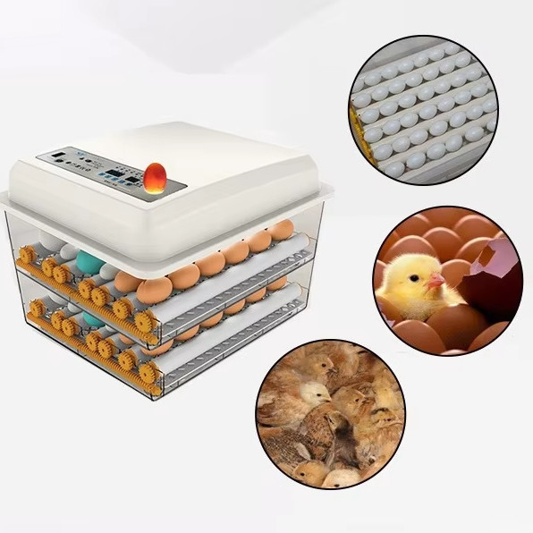 20 GP Chargement 70 ensembles d'incubateur à œufs de poulet entièrement automatique pour l'élevage de volailles