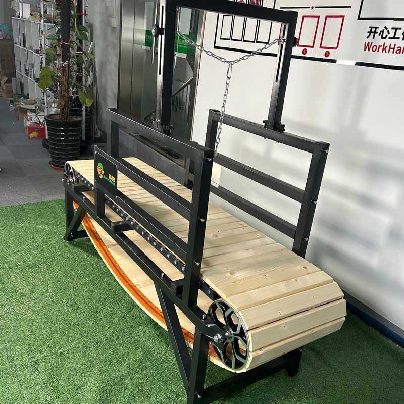 Le tapis roulant pour animaux de compagnie le plus sûr pour que votre chien fasse du sport