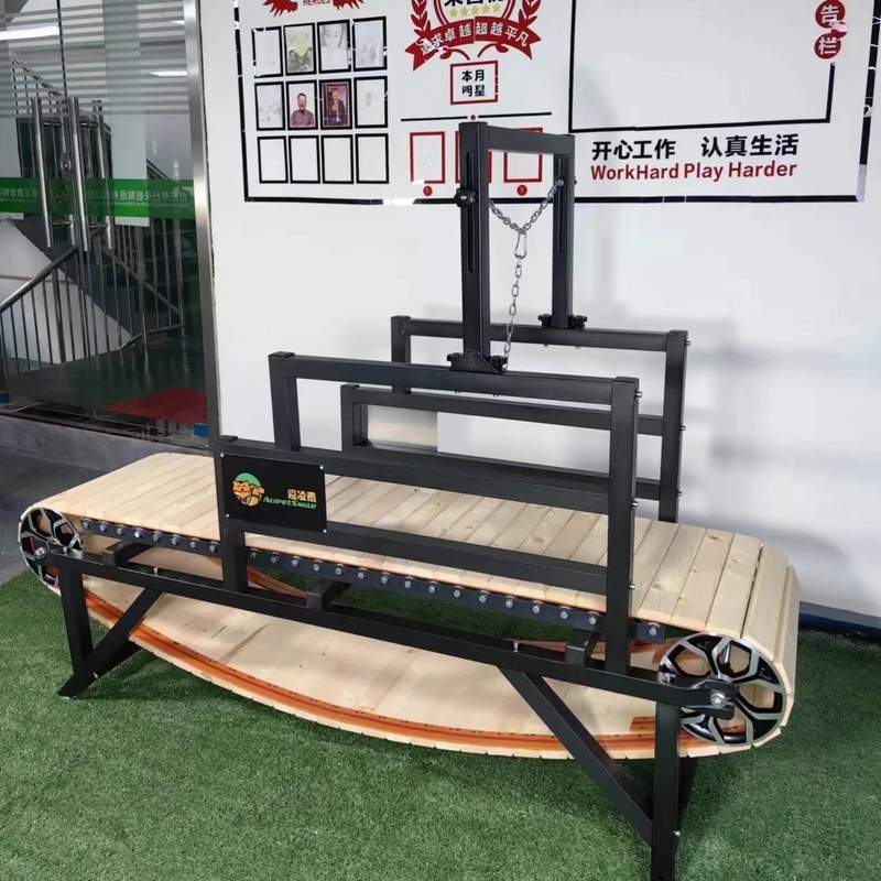Tapis roulant en aluminium pour chien pour les races moyennes à grandes Pas besoin d'électricité Jouet de santé