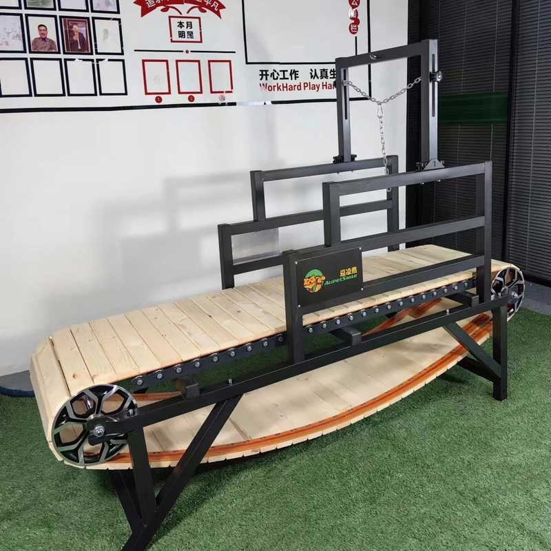 Équipement d'exercice pour chiens d'intérieur Capacité 220lbs Machine à courir pour chiens pour reptiles