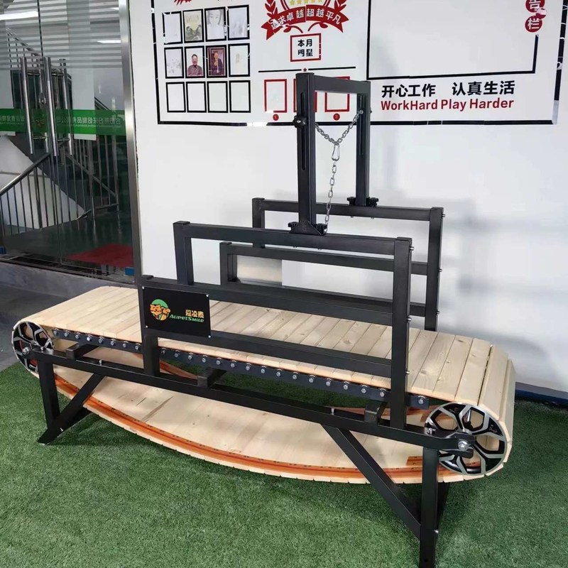 Le tapis roulant manuel en bois est une solution personnalisée pour animaux de compagnie pour les reptiles et les gros chiens.
