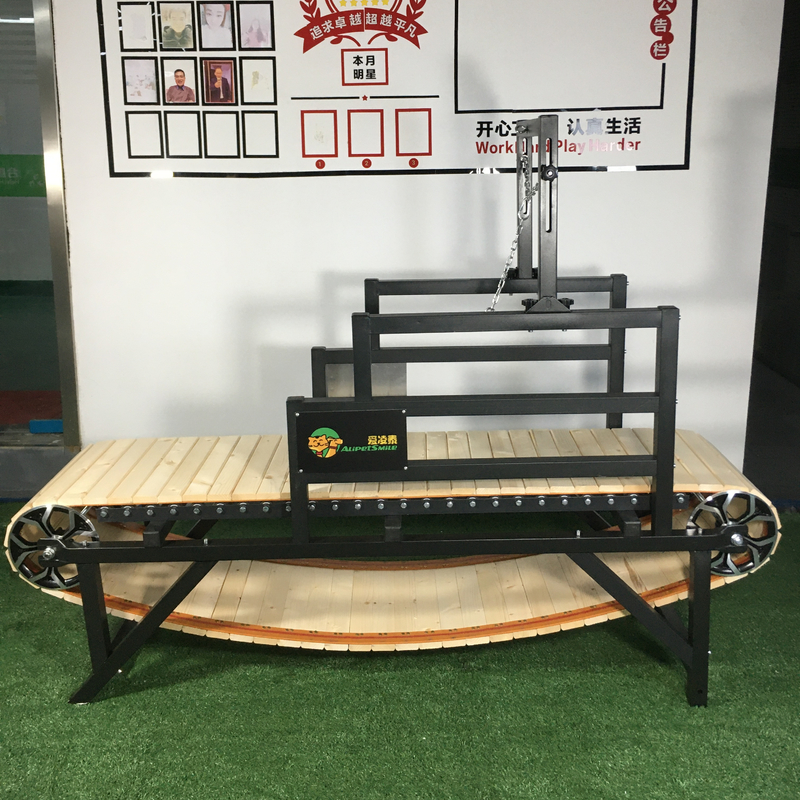 Tapis de course pour animaux de compagnie de taille personnalisée idéal pour l'entraînement et l'exercice des chiens