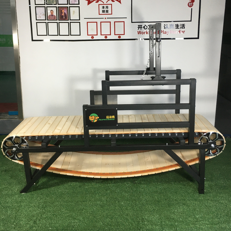 Mise à niveau vers une machine de course pour chiens adaptée à l'exercice en intérieur 43 kg électrophoresis