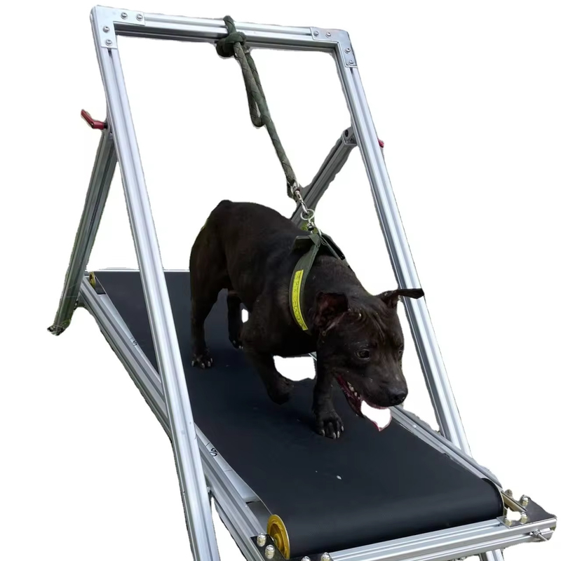 Exercice pour chiens Slatmill animaux de compagnie tapis roulant machine à marcher pour Pit Bull
