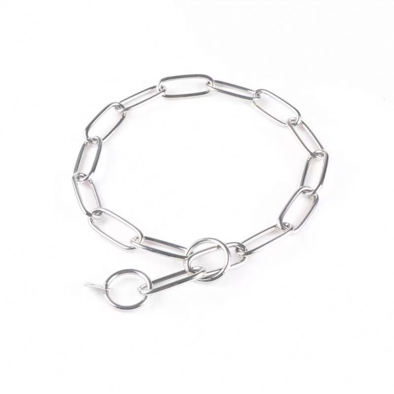 Collier de chien en acier inoxydable avec corde métallique et chaîne anti-mage