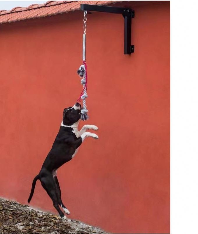 Pitbulls Chiens de soutien à poteaux de ressort Type d'article Autres avec une construction robuste